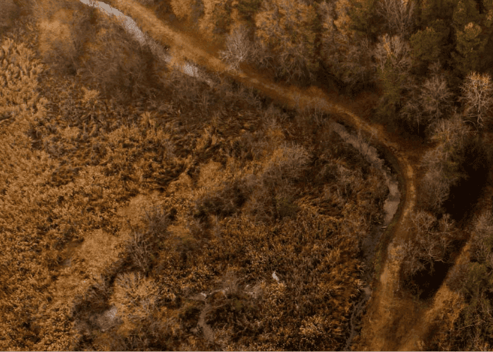 UK business energy costs projections for 2026