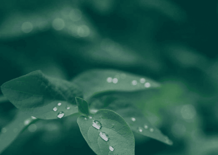 Climate Change Agreements