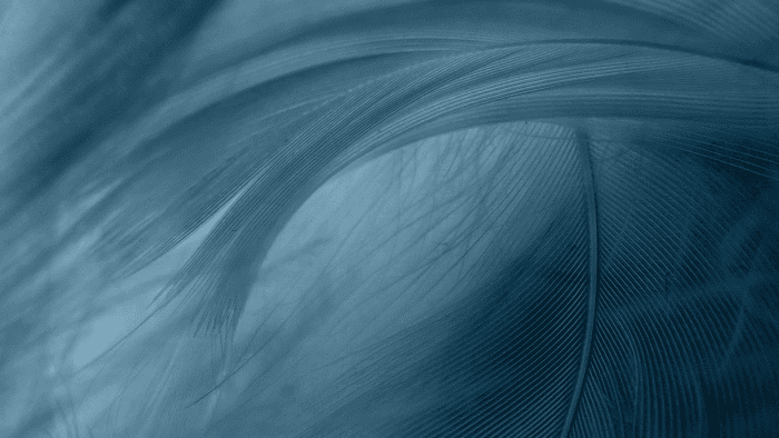 Envantage energy procurement team sees continued growth with new appointment