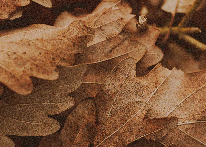 Autumn Budget 2024 Key summary for UK energy sector