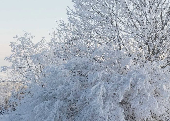 Envantage Winter outlook 2025