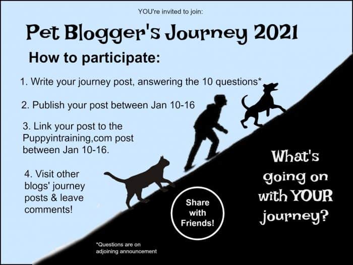 Pet Bloggers Journey II – The Adventure Continues