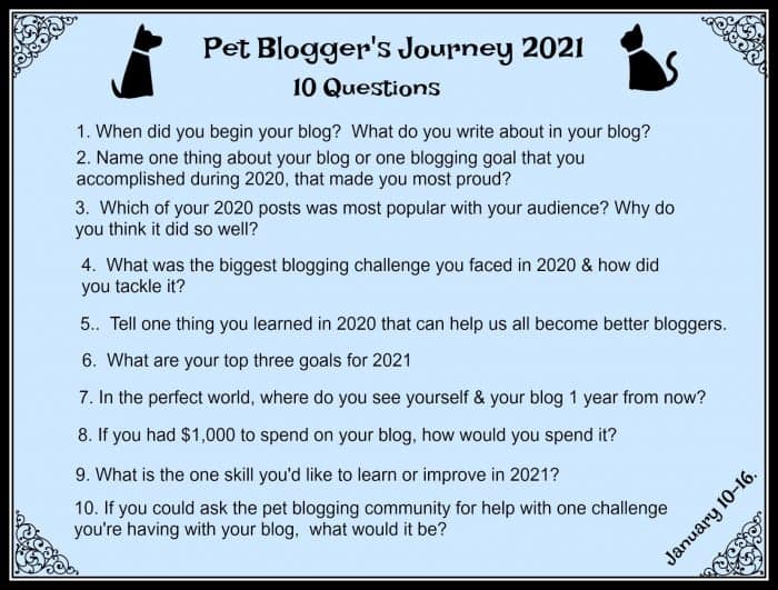 Pet Bloggers Journey II – The Adventure Continues