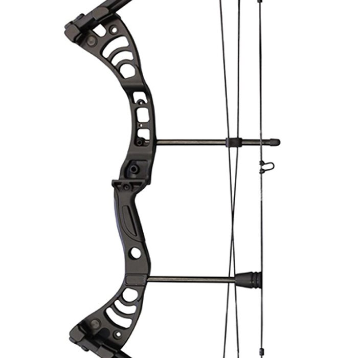entry level bow close up