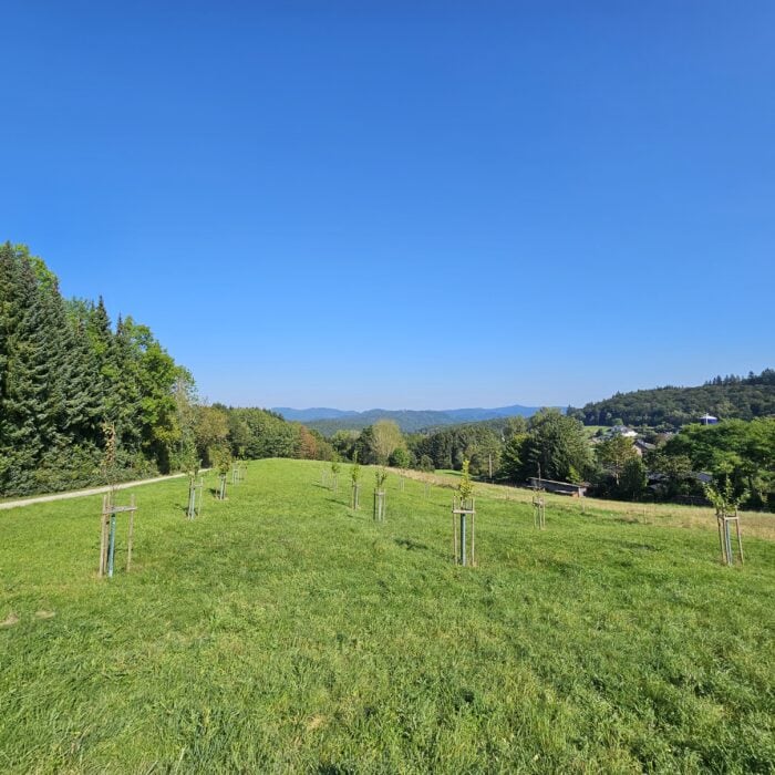 OG Honerath 1 | Kreisverwaltung Ahrweiler