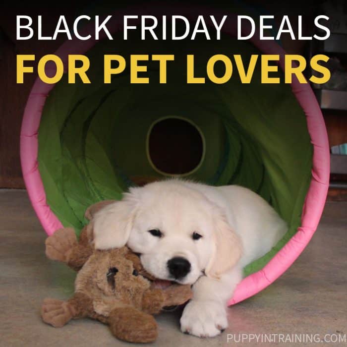 Black Friday Deals - Pets - Our favorite Black Friday and Cyber Monday deals for pets - Golden Retriever puppy sitting in his toy tunnel chewing on plush doggy toy.