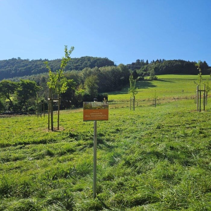 OG Honerath 2 | Kreisverwaltung Ahrweiler