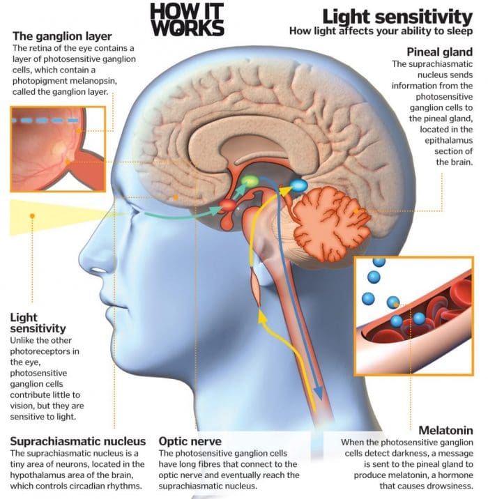 Source: How It Works