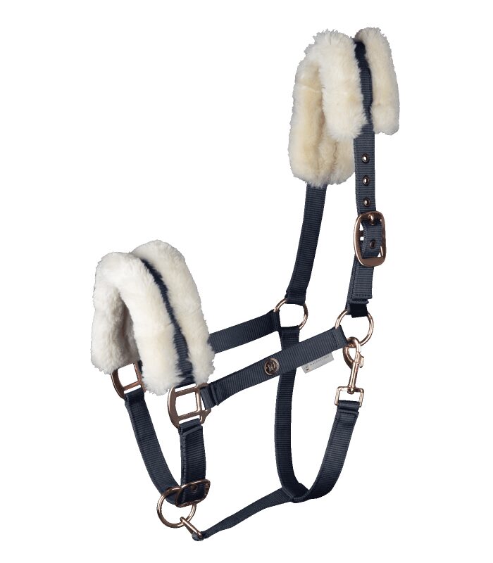 Ular Modern Rose Waldhausen teget-zlatni