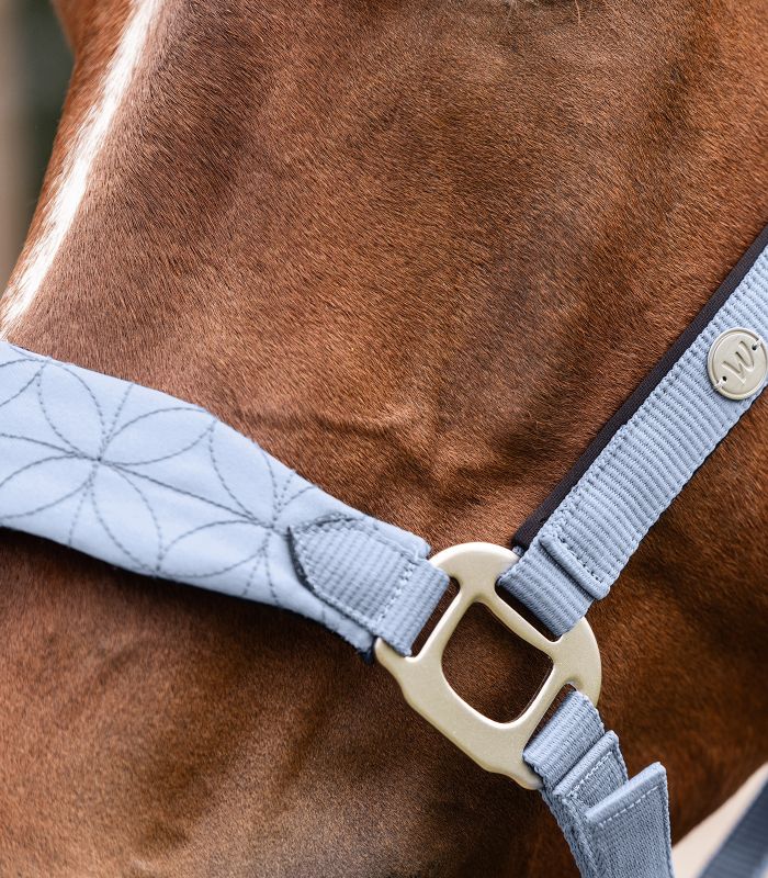 Ular Rom Waldhausen - Слика 2