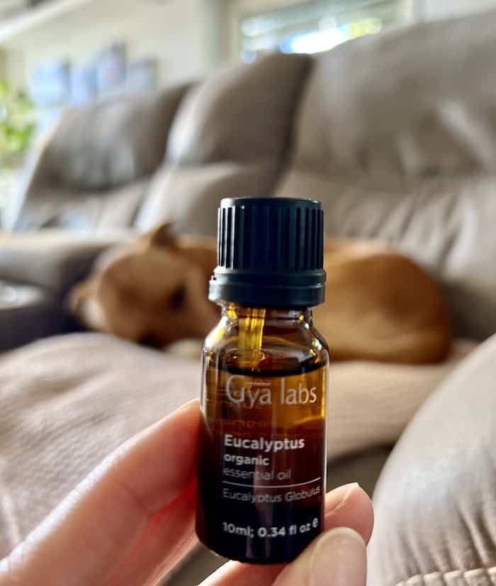 Eucalyptus Oil Tincture