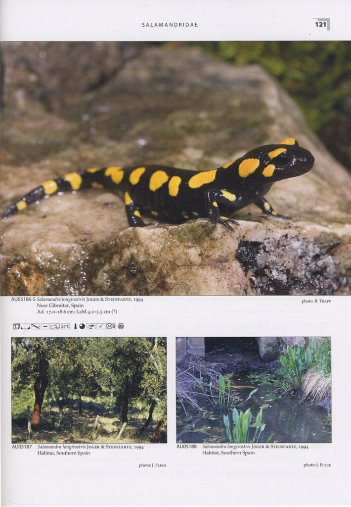 salamanders and newts of europe north africa and western asia page