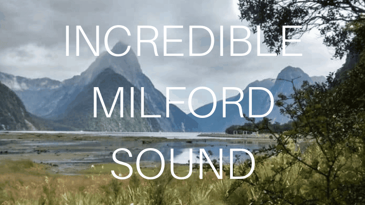 NEW ZEALAND MILFORD SOUND