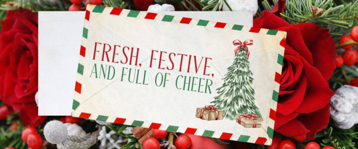 fresh festive and full of cheer