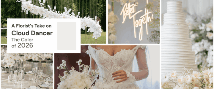 A florist's take on cloud dancer