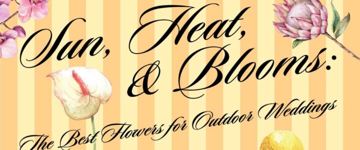 Sun, heat, and blooms