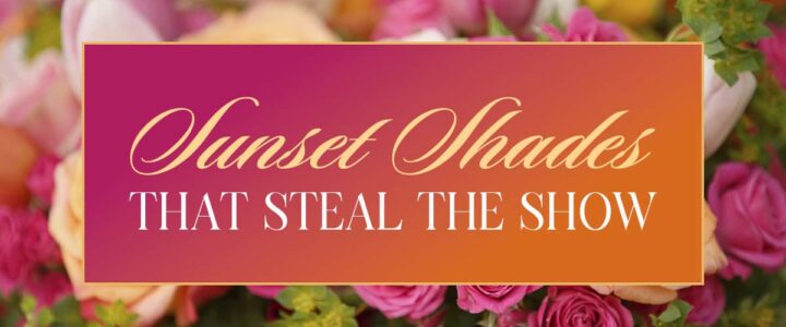 Sunset shades that steal the show