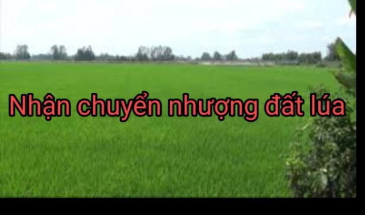 nhan chuyen nhuong lua nuoc 2 - Trang chủ
