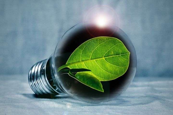 B Vitamins for Energy