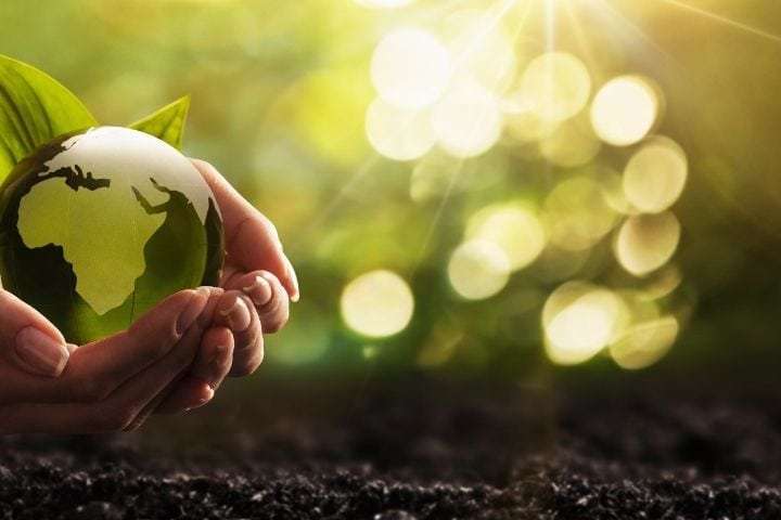 Oat Milk is Better for the Environment