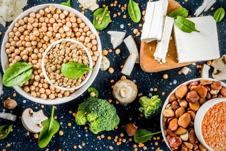 Plant Proteins