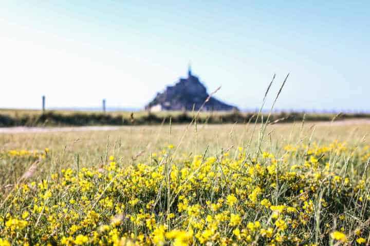 Que faire au Mont-Saint-Michel et alentours