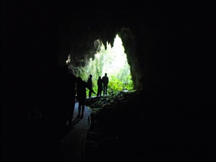 Waitomo Caves