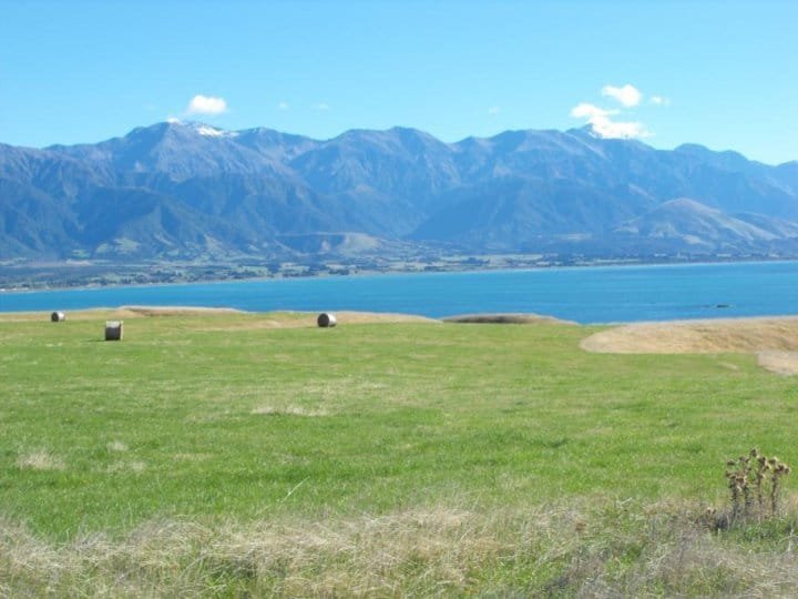kaikoura goingnz