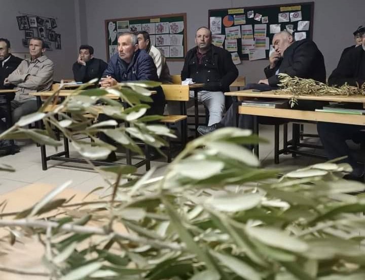 Sarıgöl’de zeytin budama kursu açıldı