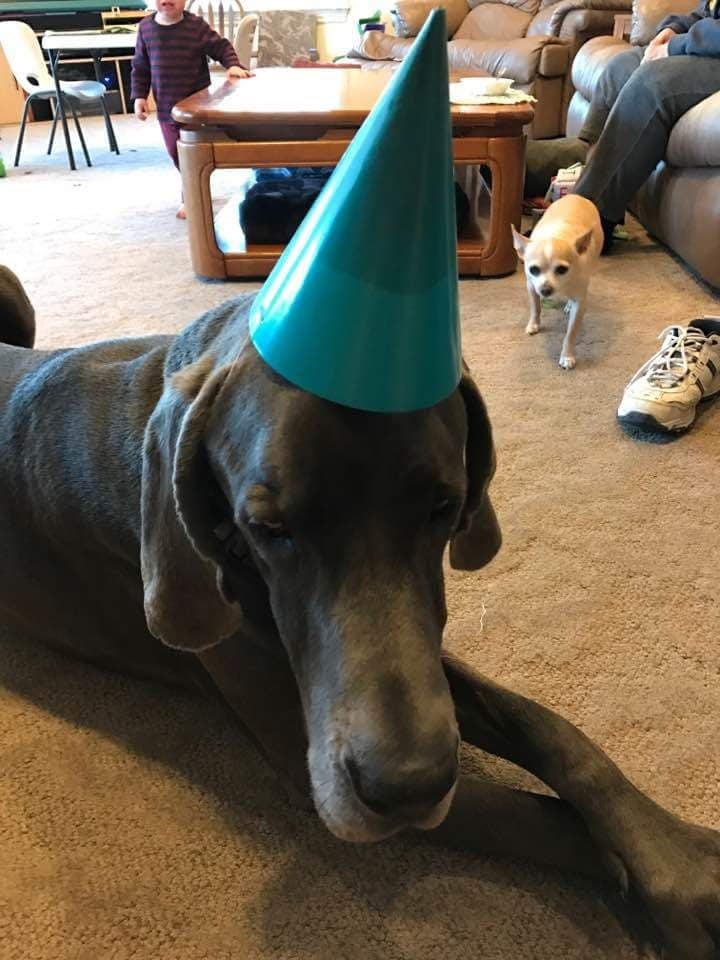 Get this party started, yo!