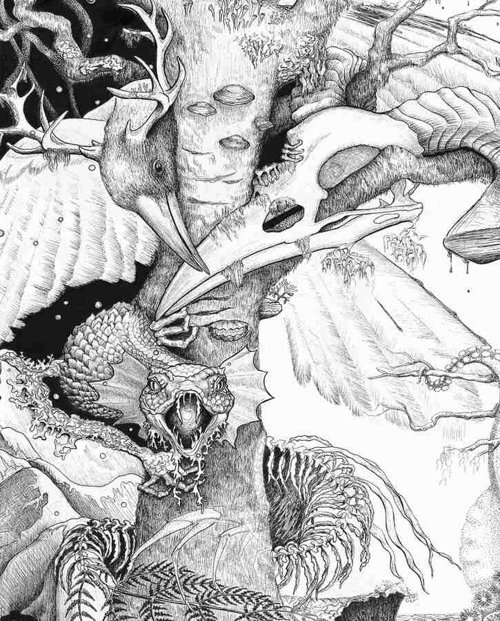 NaBo - Animal Painting -4