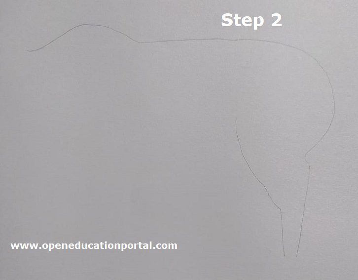 how-to-draw-cow-s2
