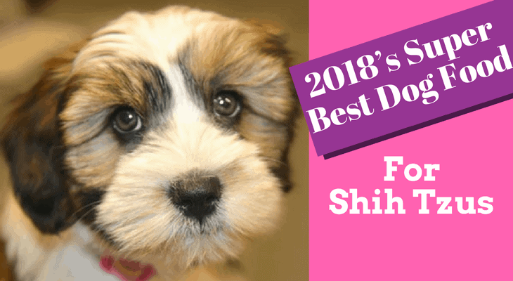 best dog food for shih tzu