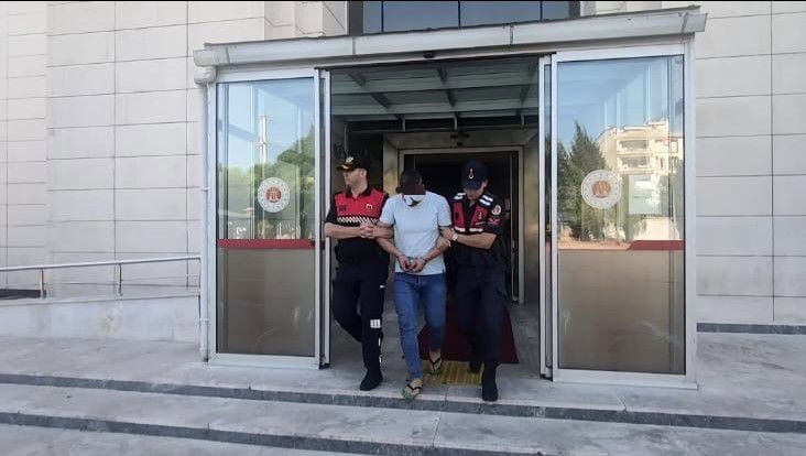 Manisa’da zeytin tankında çıplak sepetleme yapan şahıs tutuklandı