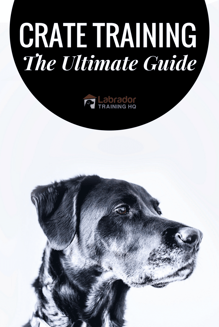 A COMPLETE and FREE guide to crate training, covering why and how to crate train a dog or puppy, during the day, overnight, even if you work full time.