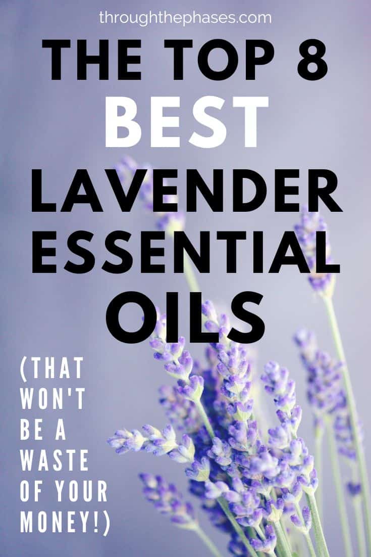 the top 8 best lavender essential oils (that won't be a waste of your money!)