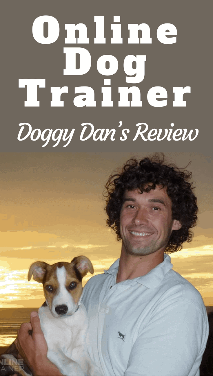 In our Doggy Dan's online dog trainer review, we discuss what it contains, how it works, why it's endorsed by the NZSCPA and why we happily recommend it.