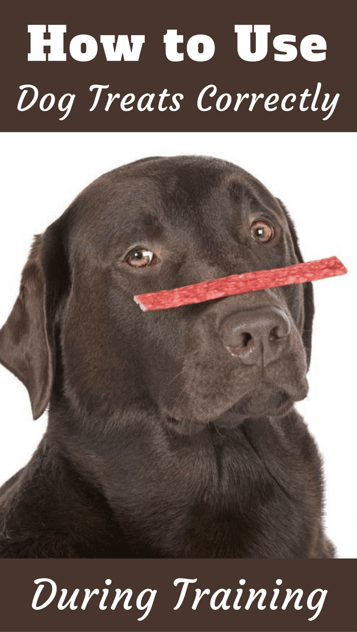 Using dog treats in training can be difficult. Key is reinforcement, NOT bribery. But what does this mean? How do you know you're getting right? Learn here.