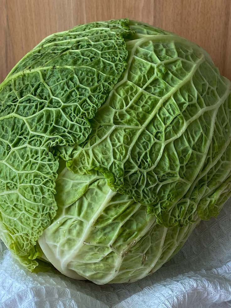 Quick-and-Easy-Cabbage-Soup-main-ingredient