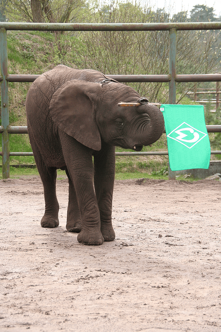 Foto: Serengeti-Park