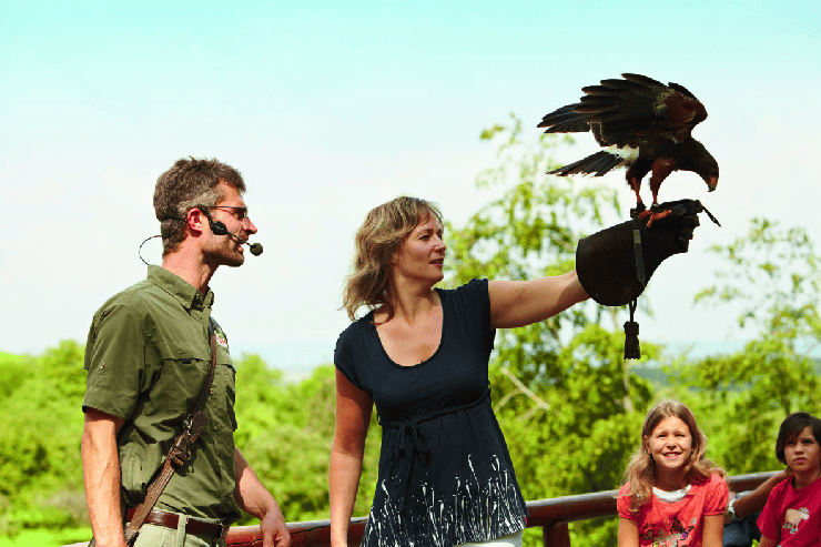 Foto: Erlebnispark Tripsdrill, Wildparadies Tripsdrill