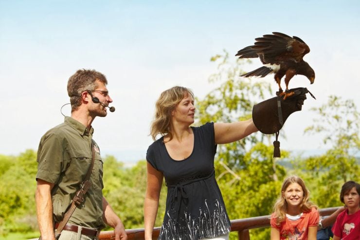 Foto: Erlebnispark Tripsdrill, das Wildparadies