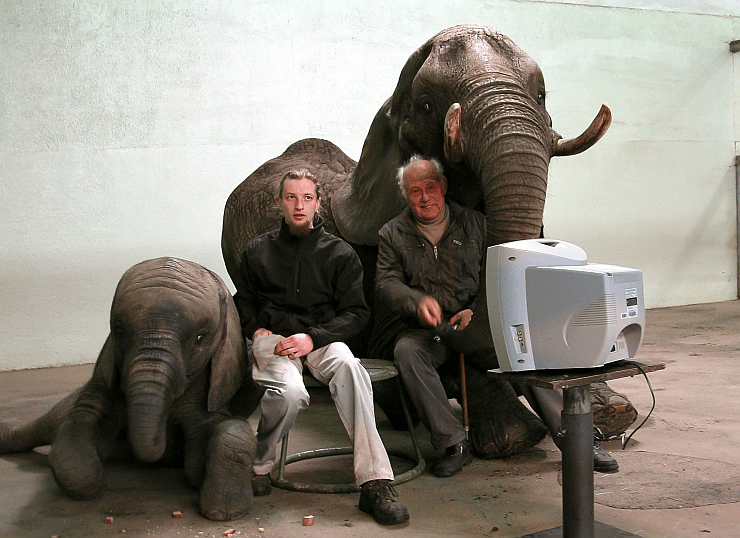 Foto: Serengeti-Park Hodenhagen, Faulenzer unter sich
