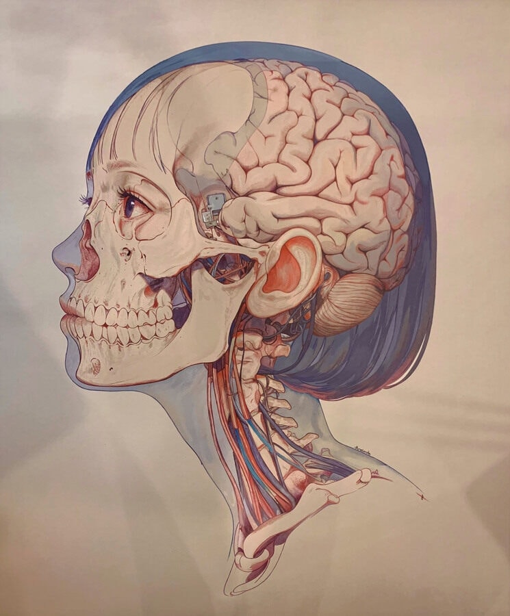 Senescence - Figurative Drawing - 8