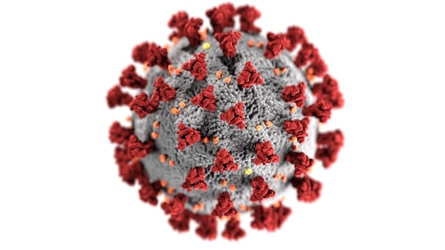 covid 19 virus modelisation