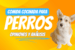 ¿Qué opinamos de la comida cocinada para perros?