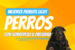 Mejores piensos light para perros con sobrepeso u obesidad