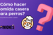 ¿Cómo hacer comida casera para perros?