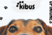 Kibus Petcare: Opiniones verificadas de www.kibuspetcare.com