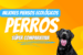 Mejores piensos ecológicos para perros